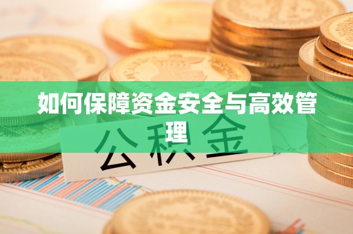 梨树如何保障资金安全与高效管理