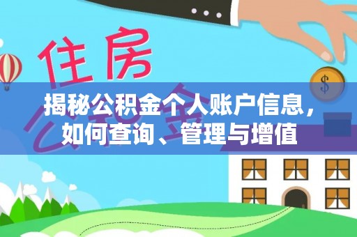 梨树揭秘公积金个人账户信息，如何查询、管理与增值