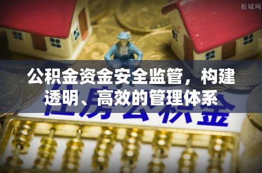 梨树公积金资金安全监管，构建透明、高效的管理体系