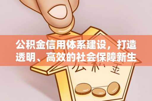 梨树公积金信用体系建设，打造透明、高效的社会保障新生态