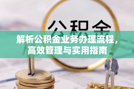 梨树解析公积金业务办理流程，高效管理与实用指南