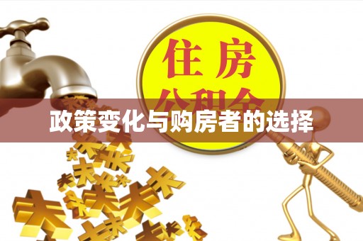 梨树政策变化与购房者的选择