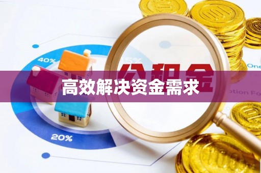 梨树高效解决资金需求