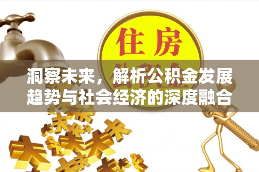 梨树洞察未来，解析公积金发展趋势与社会经济的深度融合