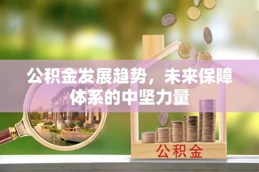 梨树公积金发展趋势，未来保障体系的中坚力量