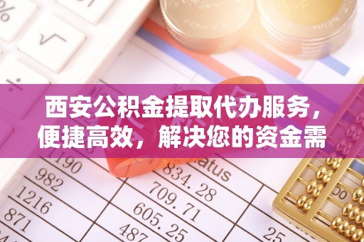 梨树西安公积金提取代办服务，便捷高效，解决您的资金需求