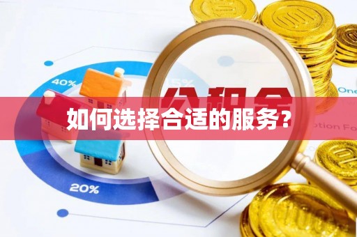 梨树如何选择合适的服务？