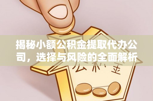 梨树揭秘小额公积金提取代办公司，选择与风险的全面解析