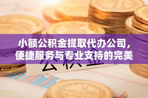 梨树小额公积金提取代办公司，便捷服务与专业支持的完美结合