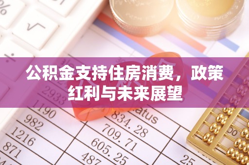 梨树公积金支持住房消费，政策红利与未来展望