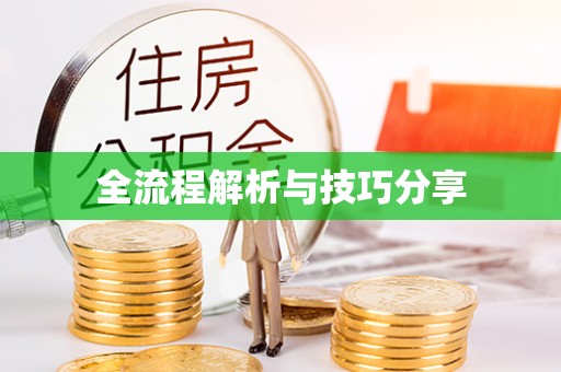 梨树全流程解析与技巧分享